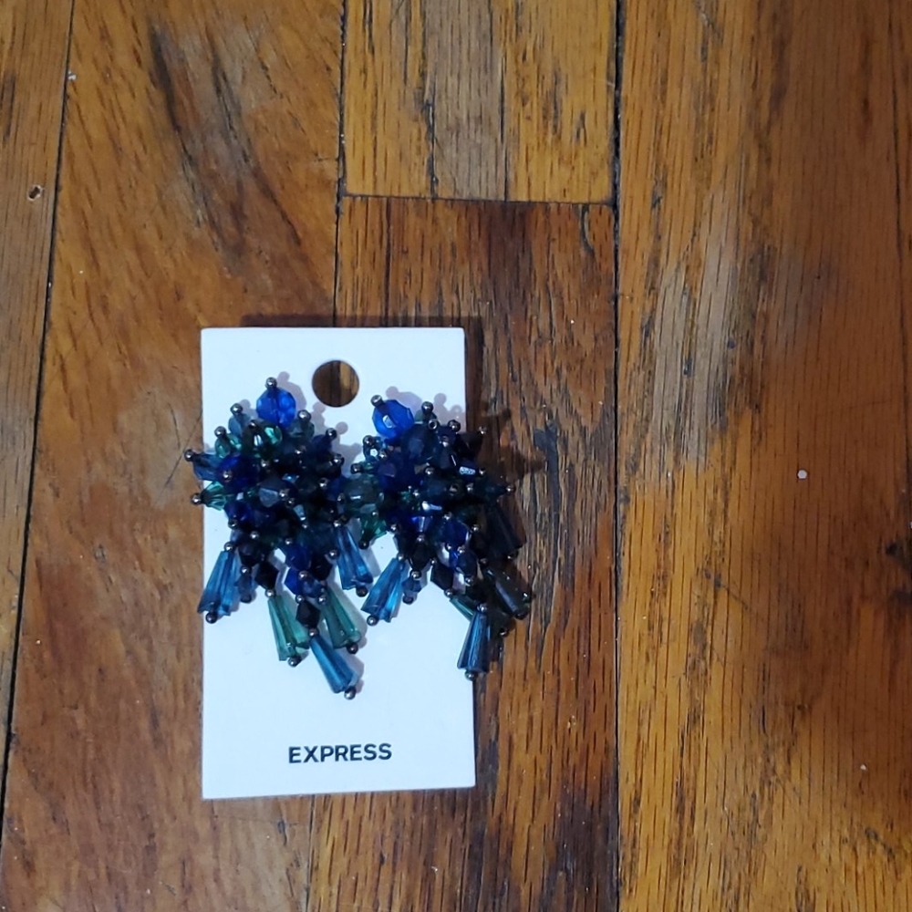 Express Earrings